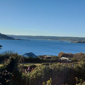 Sea Quest - Around Penzance Bay - Tuesday 21st June 2022